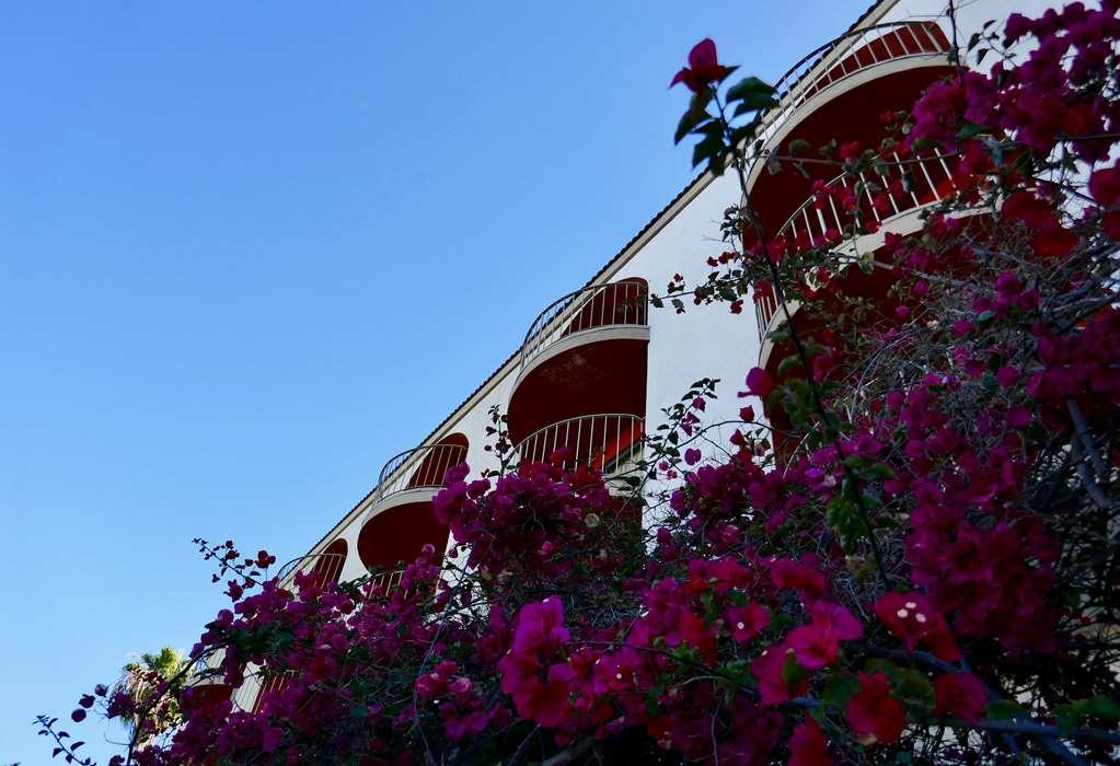 Golden Sails Hotel Лонг Бич Удобства фото